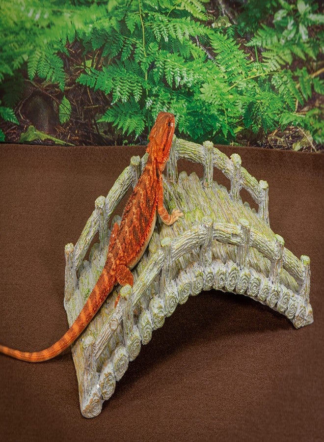 CAROLINACUSTOMCAGES جسر الزواحف، رمادي خشبي، ملحق لموئل الزواحف - Image 5